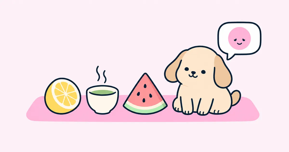 A pink picnic mat laid with half a lemon, a handleless cup of green tea and a slice of watermelon, with a round cartoon puppy beside them and a speech bubble holding a small pink smiling face.